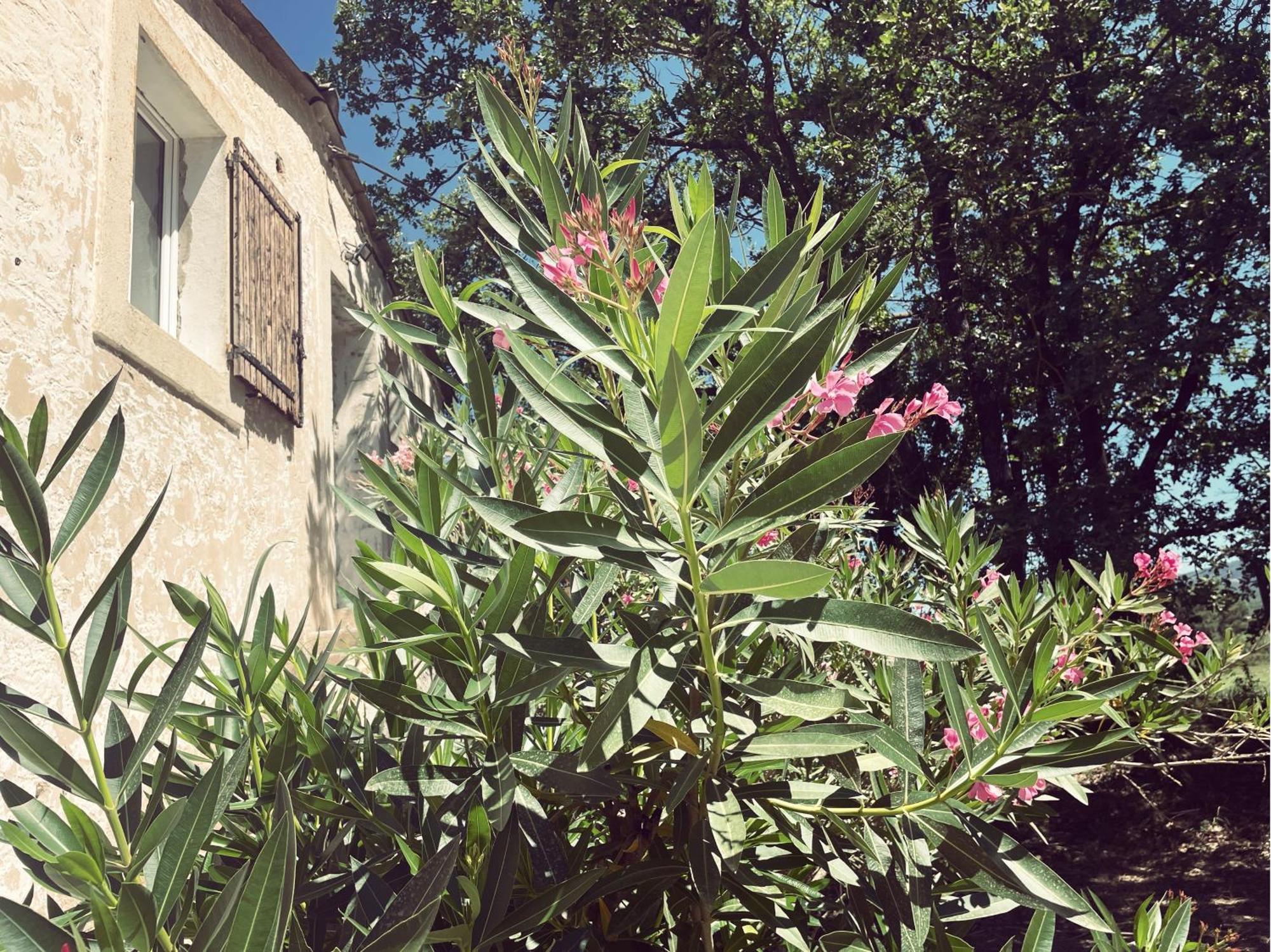 Appartement A La Campagne LʼIsle-sur-la-Sorgue Dış mekan fotoğraf